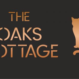 Cat House Sign Laser Cut Personalised, Custom House Names and Numbers 300x150mm, Modern Address Plaque